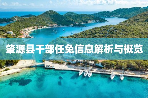 肇源縣干部任免信息解析與概覽