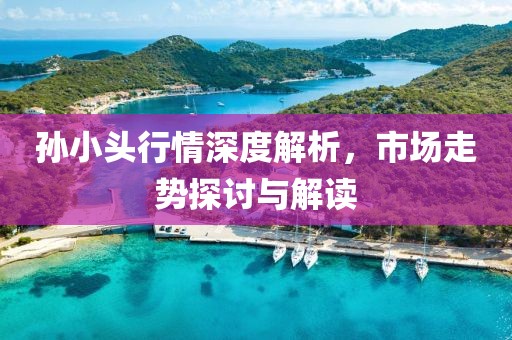 孫小頭行情深度解析，市場走勢探討與解讀