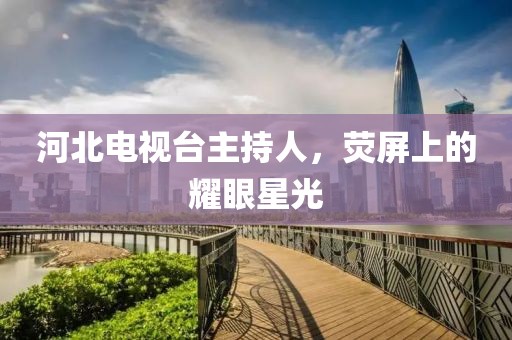 河北電視臺(tái)主持人，熒屏上的耀眼星光