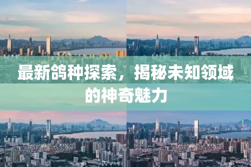最新鴿種探索，揭秘未知領(lǐng)域的神奇魅力