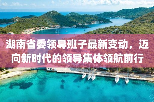湖南省委領(lǐng)導(dǎo)班子最新變動，邁向新時代的領(lǐng)導(dǎo)集體領(lǐng)航前行