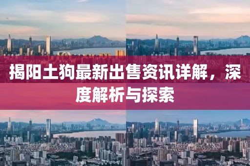 揭陽土狗最新出售資訊詳解，深度解析與探索