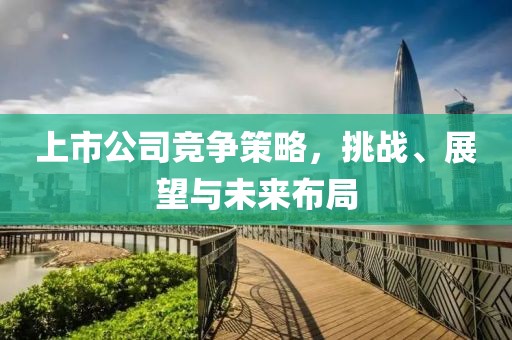 上市公司競爭策略，挑戰(zhàn)、展望與未來布局