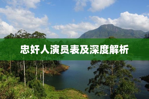 忠奸人演員表及深度解析