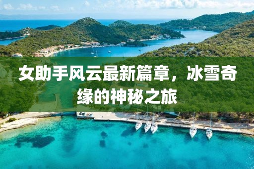 女助手風(fēng)云最新篇章，冰雪奇緣的神秘之旅