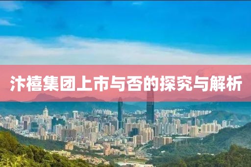 汴禧集團(tuán)上市與否的探究與解析