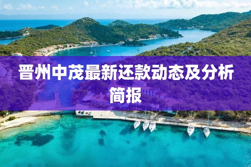 晉州中茂最新還款動態(tài)及分析簡報