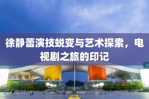 徐靜蕾演技蛻變與藝術(shù)探索，電視劇之旅的印記