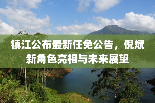 鎮(zhèn)江公布最新任免公告，倪斌新角色亮相與未來展望