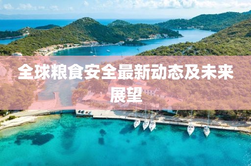 全球糧食安全最新動(dòng)態(tài)及未來展望