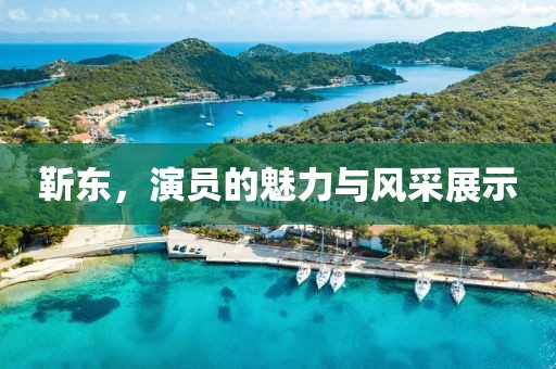 靳東，演員的魅力與風(fēng)采展示