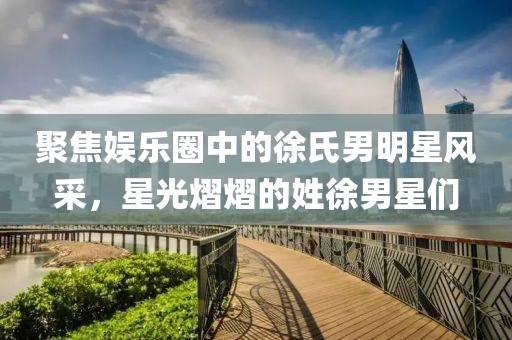聚焦娛樂圈中的徐氏男明星風(fēng)采，星光熠熠的姓徐男星們