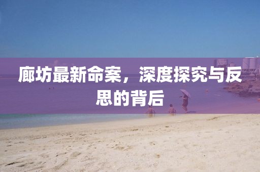 廊坊最新命案，深度探究與反思的背后