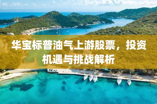 華寶標(biāo)普油氣上游股票，投資機(jī)遇與挑戰(zhàn)解析