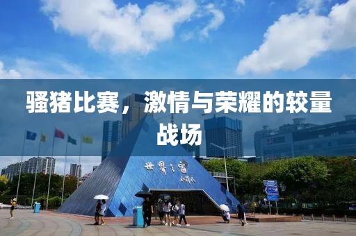 騷豬比賽，激情與榮耀的較量戰(zhàn)場(chǎng)