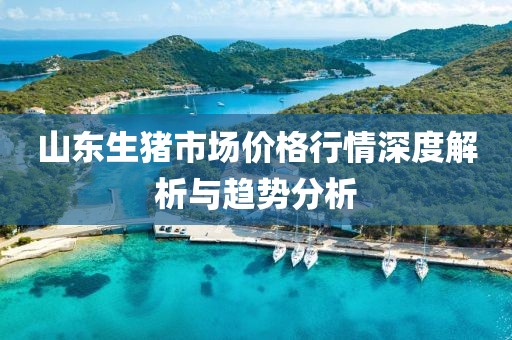 山東生豬市場價格行情深度解析與趨勢分析