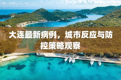 大連最新病例，城市反應(yīng)與防控策略觀察