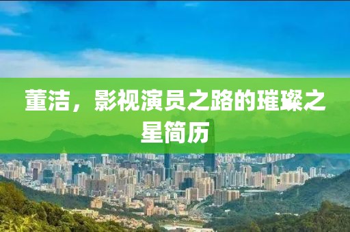 董潔，影視演員之路的璀璨之星簡(jiǎn)歷