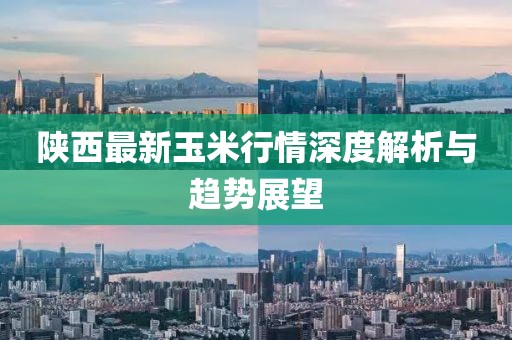陜西最新玉米行情深度解析與趨勢展望