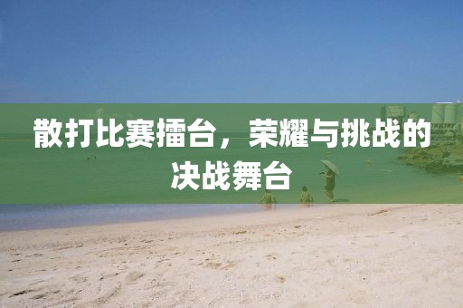 散打比賽擂臺，榮耀與挑戰(zhàn)的決戰(zhàn)舞臺