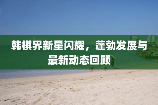 韓棋界新星閃耀，蓬勃發(fā)展與最新動(dòng)態(tài)回顧