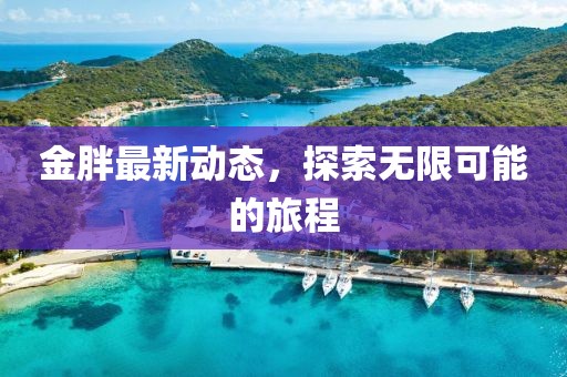 金胖最新動態(tài)，探索無限可能的旅程