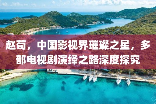 趙荀，中國(guó)影視界璀璨之星，多部電視劇演繹之路深度探究