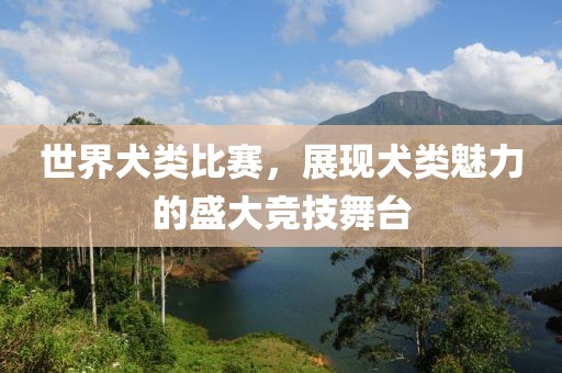 世界犬類比賽，展現(xiàn)犬類魅力的盛大競技舞臺