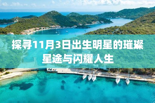 探尋11月3日出生明星的璀璨星途與閃耀人生