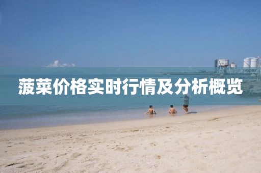 菠菜價(jià)格實(shí)時(shí)行情及分析概覽