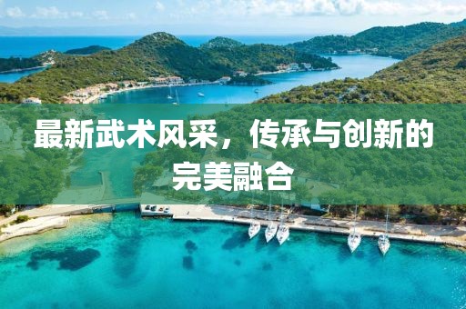 最新武術風采，傳承與創(chuàng)新的完美融合