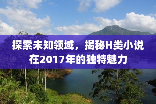 探索未知領(lǐng)域，揭秘H類小說(shuō)在2017年的獨(dú)特魅力