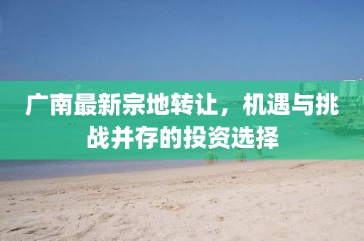廣南最新宗地轉(zhuǎn)讓，機遇與挑戰(zhàn)并存的投資選擇