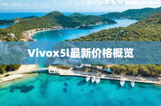 Vivox5l最新價格概覽