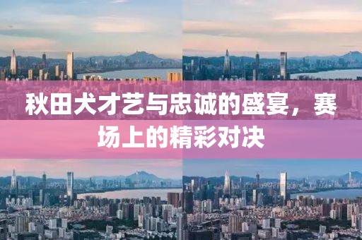 秋田犬才藝與忠誠的盛宴，賽場上的精彩對決