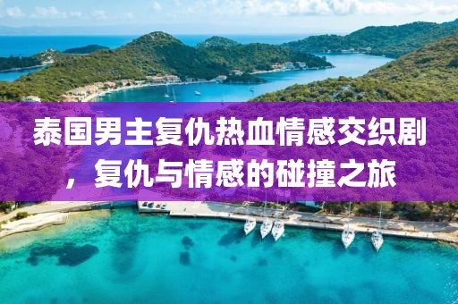 泰國男主復(fù)仇熱血情感交織劇，復(fù)仇與情感的碰撞之旅
