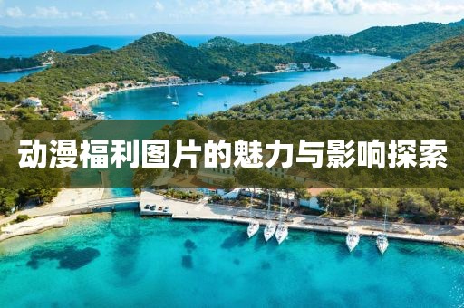 動(dòng)漫福利圖片的魅力與影響探索