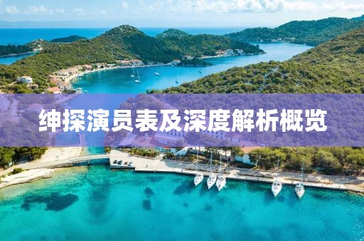 紳探演員表及深度解析概覽