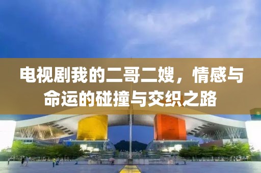 電視劇我的二哥二嫂，情感與命運的碰撞與交織之路