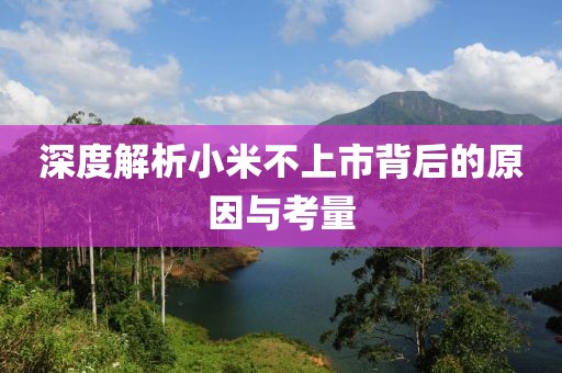 深度解析小米不上市背后的原因與考量
