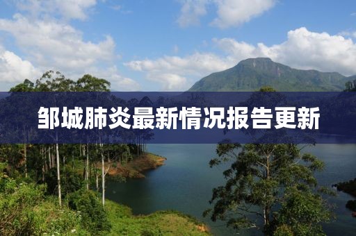 鄒城肺炎最新情況報(bào)告更新