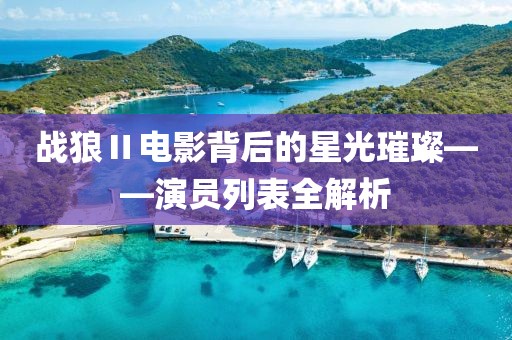 戰(zhàn)狼Ⅱ電影背后的星光璀璨——演員列表全解析