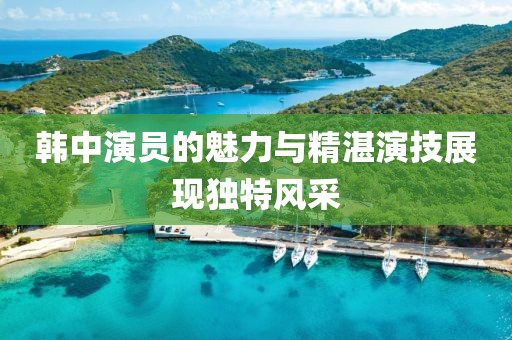 韓中演員的魅力與精湛演技展現(xiàn)獨(dú)特風(fēng)采