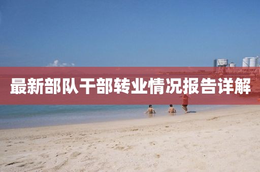 最新部隊(duì)干部轉(zhuǎn)業(yè)情況報(bào)告詳解