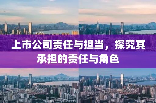 上市公司責(zé)任與擔(dān)當(dāng)，探究其承擔(dān)的責(zé)任與角色