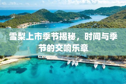 雪梨上市季節(jié)揭秘，時間與季節(jié)的交響樂章