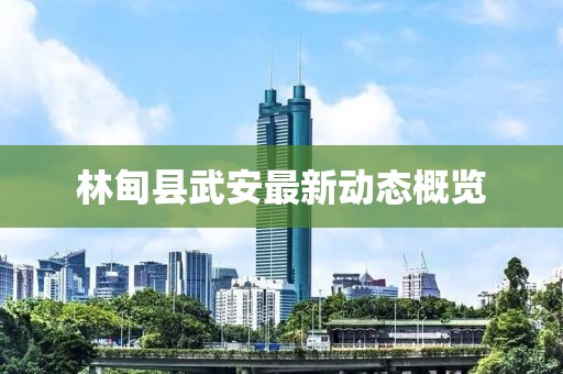 林甸縣武安最新動(dòng)態(tài)概覽