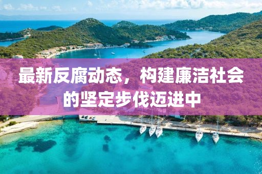 最新反腐動態(tài)，構建廉潔社會的堅定步伐邁進中