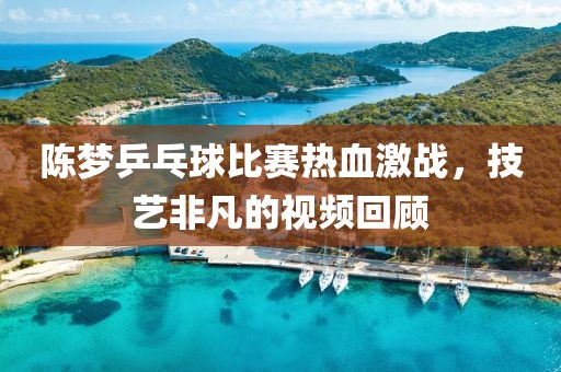 陳夢乒乓球比賽熱血激戰(zhàn)，技藝非凡的視頻回顧