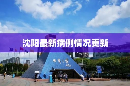 沈陽最新病例情況更新